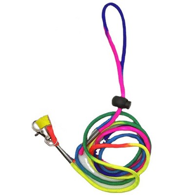 coloured leash