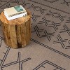 Hauteloom Anuja Washable Jutely Rug - 3 of 4