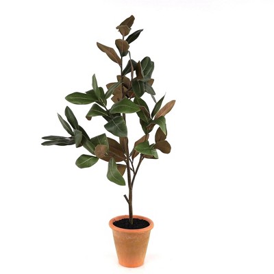 Melrose Potted Magnolia Tree 22"H