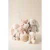 Snuggle Bunnies Stuffed Animal - George the Bear Little - 3 of 4