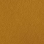 tennessee volunteers