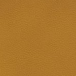 tennessee volunteers