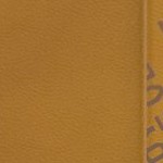 tennessee volunteers