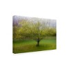 Trademark Fine Art - Arne Ostlund The Cat By The Tree Matted Framed Art - 2 of 4