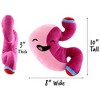 Attatoy Plush Stomach - Barry The Sleeve - Stuffed Toy; 10in After Surgery Pal, Bariatric Gastric Bypass Sleeve; Surgery Education, Surgeon Gift - 3 of 4
