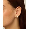 Earring Trio, Popular Styles for 2025 Year Fashion Hypoallergenic Women's Earrings - 2 of 4