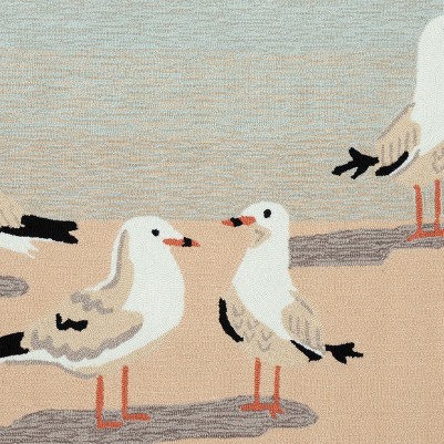gulls sand