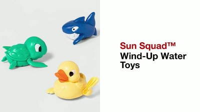 Wind up sale toys target