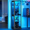 FURNIinspire Utility Storage Cabinets 5 Tier Slim Display Shelf Display Cabinet with Glass Doors, Curio Cabinet with Lock, Black, 70.87"*19.69"*15.75" - 2 of 4