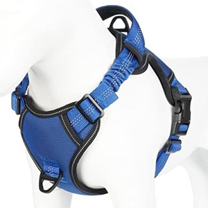 rabbitgoo Dog Harness for Medium Dogs No Pull, Upgrade Escape, Unique Bungee, Durable Nylon Surface, Comfy Soft Safe Control Handle & Reflective - 1 of 1