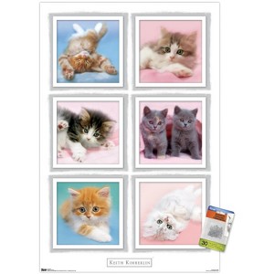 Trends International Keith Kimberlin - Kittens Unframed Wall Poster Prints - 1 of 4