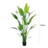 5.2ft Artificial Plant,Bird of Paradise Plant with 2 Flower,23 Realistic Leaves,Tropical Palm Tree with Black Planter,Home Office Living Room Deco - 4 of 4