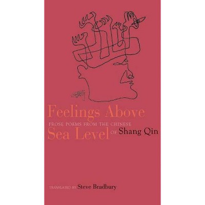 Feelings Above Sea Level - by  Shang Qin (Paperback)