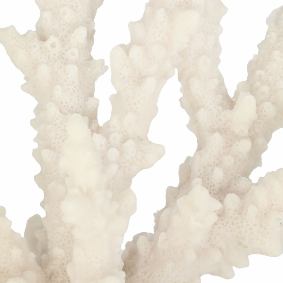 Coastal Coral Figurine Decor - Realistic Resin Sculpture - Ocean-Inspired Accent for Home, Office, Bedroom, Living Room - thumbnail 10