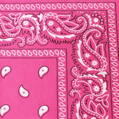paisley hot pink