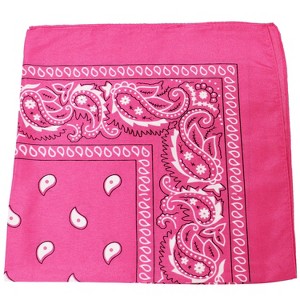 Qraftsy 48 Pack X-Large Paisley Cotton Bandanas 27 x 27 inches - Bulk Wholesale - 1 of 4