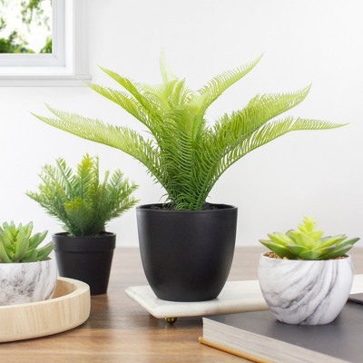 Evergreen Bliss 12" Artificial Pinus in Black Pot for Indoor/Outdoor Decor