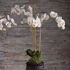 Plum & Post Phalaenopsis Orchid Faux (Fake) Drop-In 31" - 3 of 3