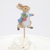 Meri Meri Peter Rabbit™ & Friends Party Picks (Pack of 12) - 3 of 4