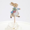 Meri Meri Peter Rabbit™ & Friends Party Picks (Pack of 12) - image 3 of 4