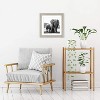 Americanflat Picture Frame in Drift Wood - Displays 8x8 With Mat and 11x11 Without Mat - Composite Wood with Shatter Resistant Glass - 4 of 4
