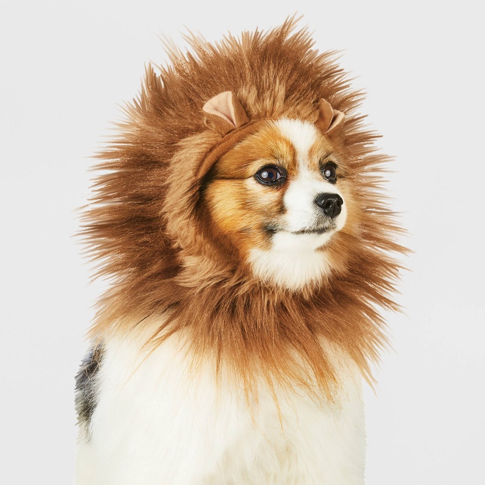 Halloween Lion Ruff Headwear Dog Costume - Brown - S/M - Hyde & EEK! Boutique
