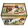 Unique Gardener: Desert Escape Growarium - DIY Cactus & Succulent Terrarium Kit - 4 of 4