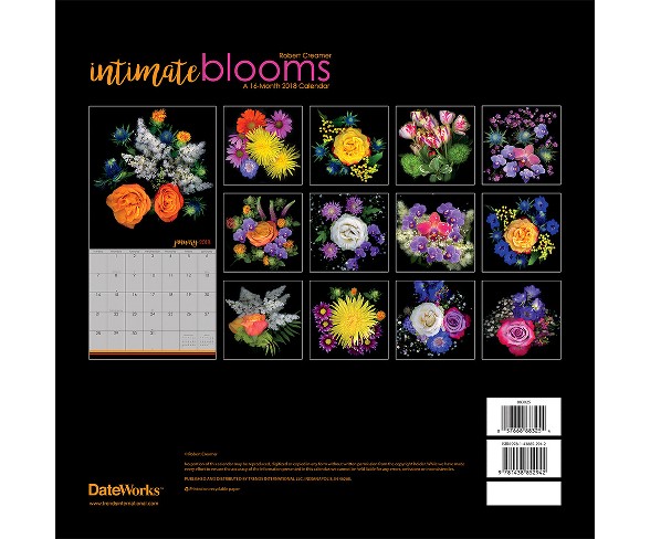 2018 Intimate Blooms Robert Creamer Wall Calendar - Trends International