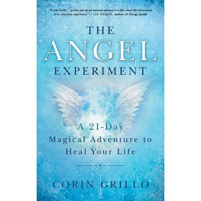 The Angel Experiment - by  Corin Grillo (Paperback)