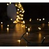 GE StayBright 250-Count Warm White LED Plug-In String Lights Green Wire 51.8FT - 4 of 4