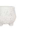 Distressed Footed Planter White Stoneware by Foreside Home & Garden - 3 of 4