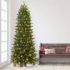 Puleo 10' Pre-Lit LED Full Fraser Fir Artificial Christmas Tree Color Select Lights - 2 of 4