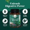 Pancreatic Digestive Enzymes for Digestive Health, Protease Amylase & Lipase Enzymes for Digestion, Nature's Craft, 60ct - 2 of 4