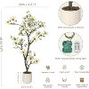 Faux Southern Magnolia Plant Yellow Flowered Magnolia, Artificial Magnolia Tree Inc. Realist Touch Flowers Vivid Leaves White Pot Dry Moss - 2 of 4