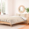 Deny Designs 3pc Full/Queen Little Arrow Design Co Branch Stripes Cream Duvet and Sham Set - 2 of 4