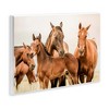 Stupell Industries Horse & Foals Photography, 15" x 10" - 3 of 4