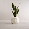 White Swirl Stoneware Planter - Foreside Home & Garden - 2 of 4
