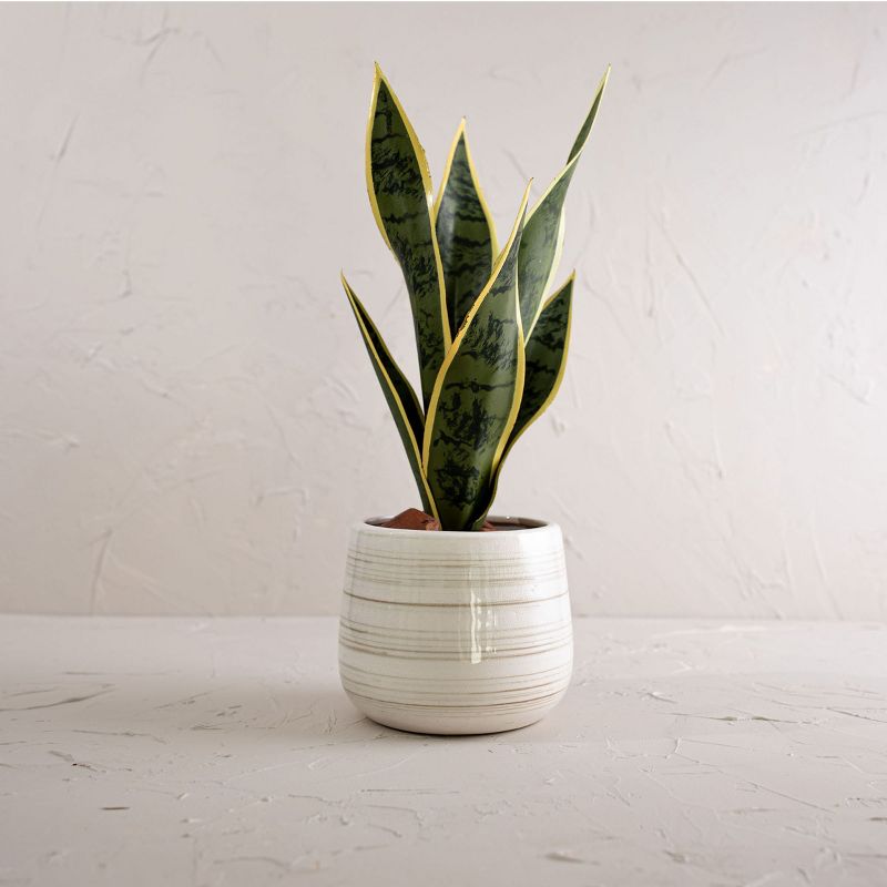 White Swirl Stoneware Planter - Foreside Home & Garden, 2 of 6