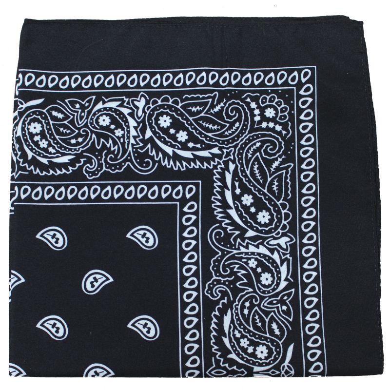 Mechaly Paisley 100% Cotton Bandanas - 3 Pack - Multiple Color Combos, 2 of 6