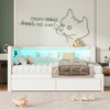 Twin Size Upholstered Platform Bed with 2 Drawers, USB Ports and LED Belt - 4 of 4