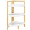 Adler 3 Tier Corner Shelf - STG1914 - White/Natural - Safavieh - 3 of 4