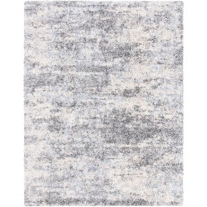 Berber Shag BER219 Power Loomed Indoor Rugs - Safavieh - 1 of 4