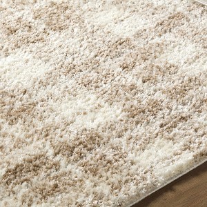 Hauteloom Anfisa Beige Luxe Shag Area Rug - 1 of 4