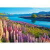500 Piece Jigsaw Puzzle, Lake Tekapo, New Zealand, Mackenzie Region, Flower puzzle, Vibrant natural beauty, Adult Puzzle, Castorland B-53896 - 2 of 4