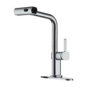 CASAINC Single Handle Pull Down Sprayer Kitchen Faucet with 3 Functions Spray, 360° swivel Deckplate Included in Brushed Gold - 1 of 1