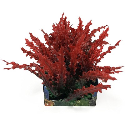 Penn-Plax Foregrounder Aqua-Scaping Bunch Plants Large Red
