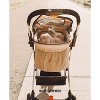 Petique Newport 3-in-1 Travel System Comfortable & Spacious Pet Animal Stroller - 3 of 4