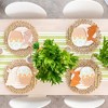 Daydream Society - Bunnies in the Garden Basket Plates - Pack of 8 Paper Plates - 3 of 3