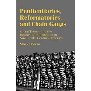 Penitentiaries, Reformatories, and Chain Gangs - by  M Colvin (Paperback) - 1 of 1