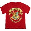 Boys' Short Sleeve Harry Potter Rendered Hogwarts Crest T-Shirt - 2 of 4